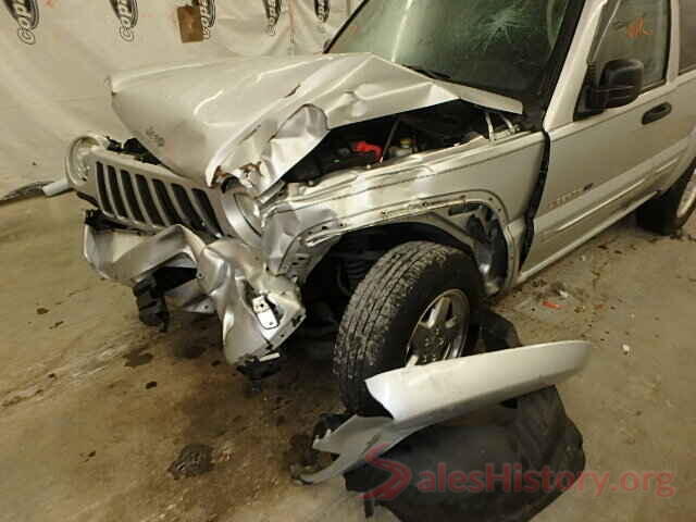 3TMAZ5CN7GM025709 2002 JEEP LIBERTY