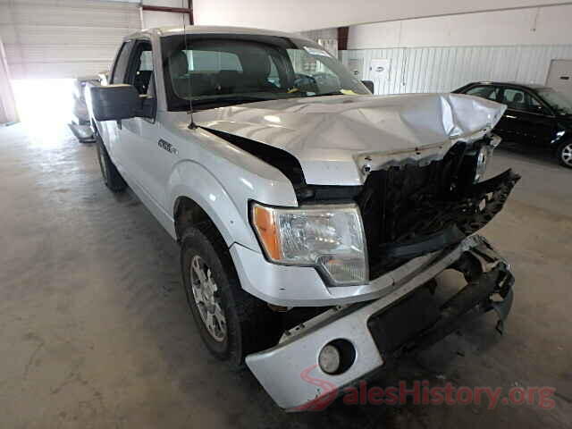 KM8K2CAA2LU579206 2009 FORD F150