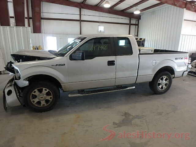 KM8K2CAA2LU579206 2009 FORD F150