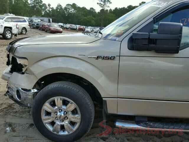 1FAHP2D86GG117079 2009 FORD F150