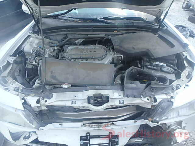 5NPEG4JA3MH066499 2009 ACURA TL