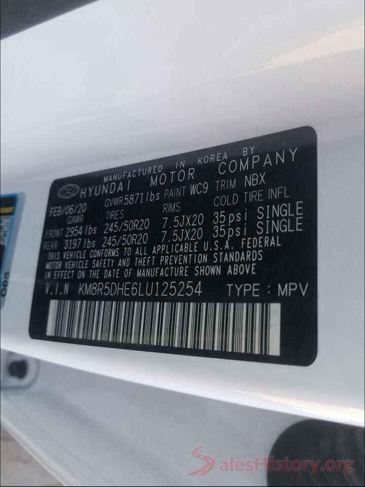 KM8R5DHE6LU125254 2020 HYUNDAI PALISADE