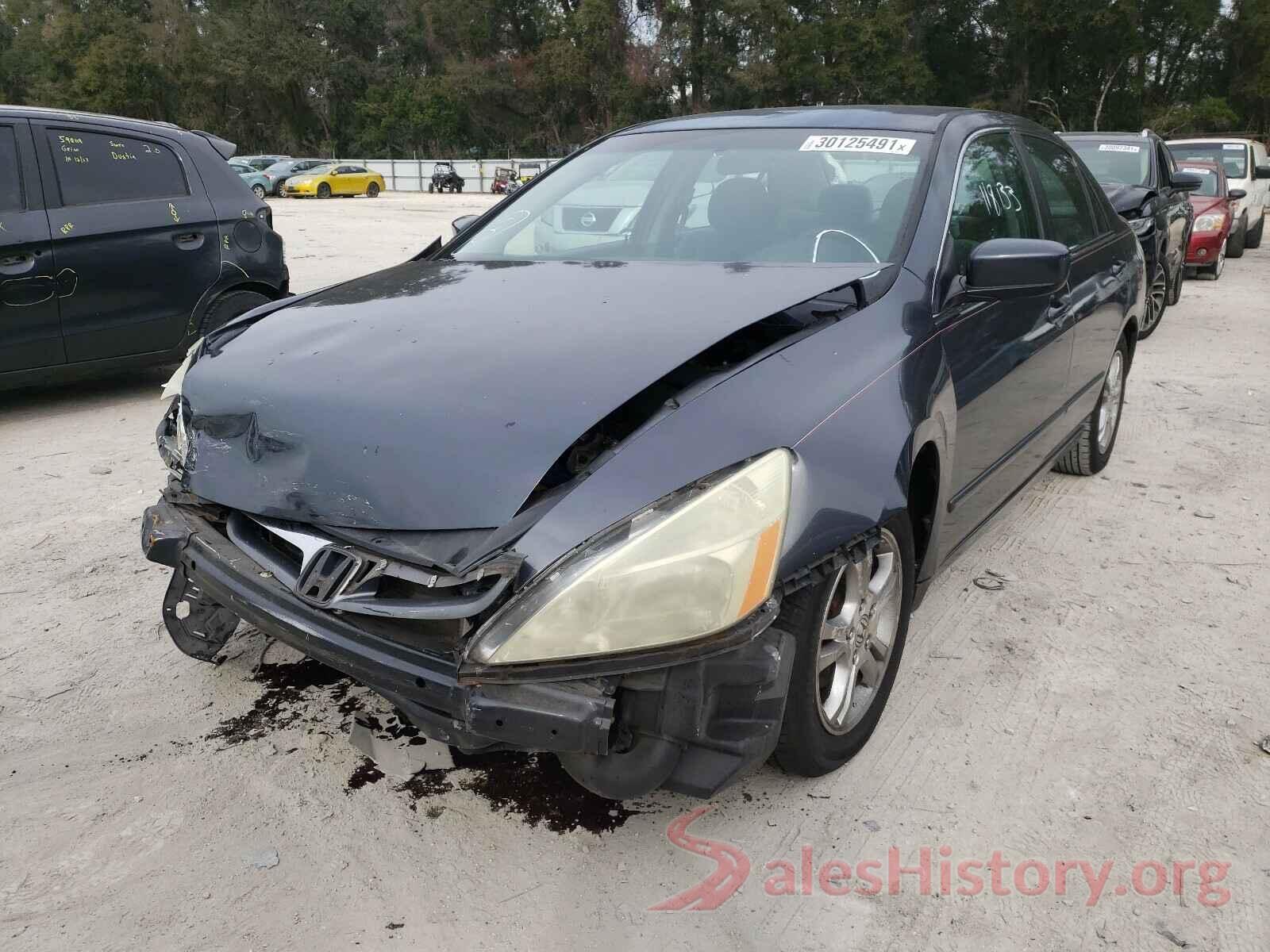 KMHD84LF3HU423110 2006 HONDA ACCORD