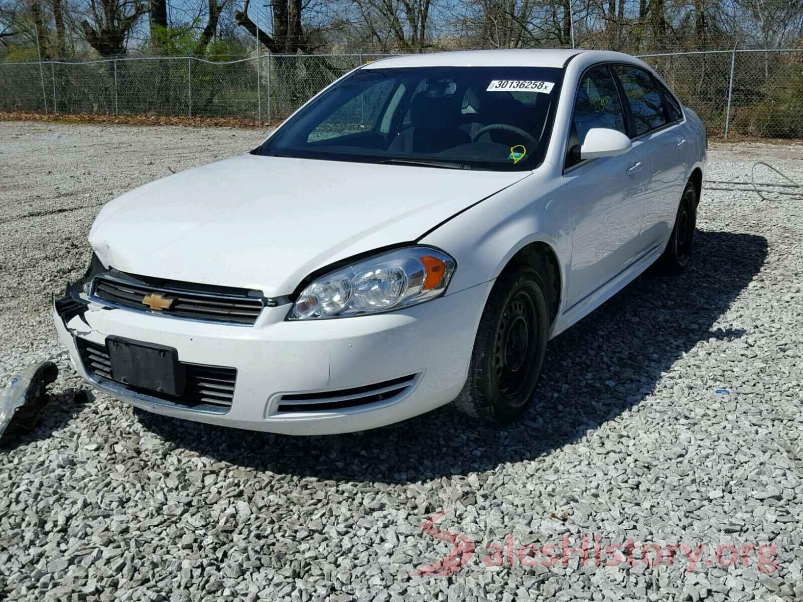 1FAHP2E88HG117570 2010 CHEVROLET IMPALA