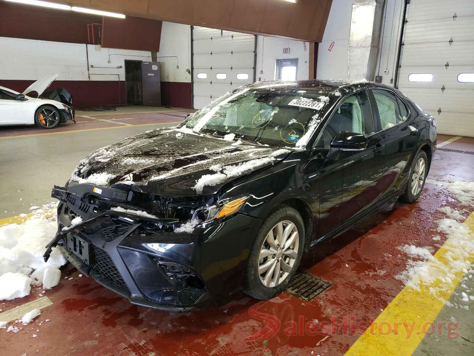 4T1B11HK1KU800220 2019 TOYOTA CAMRY