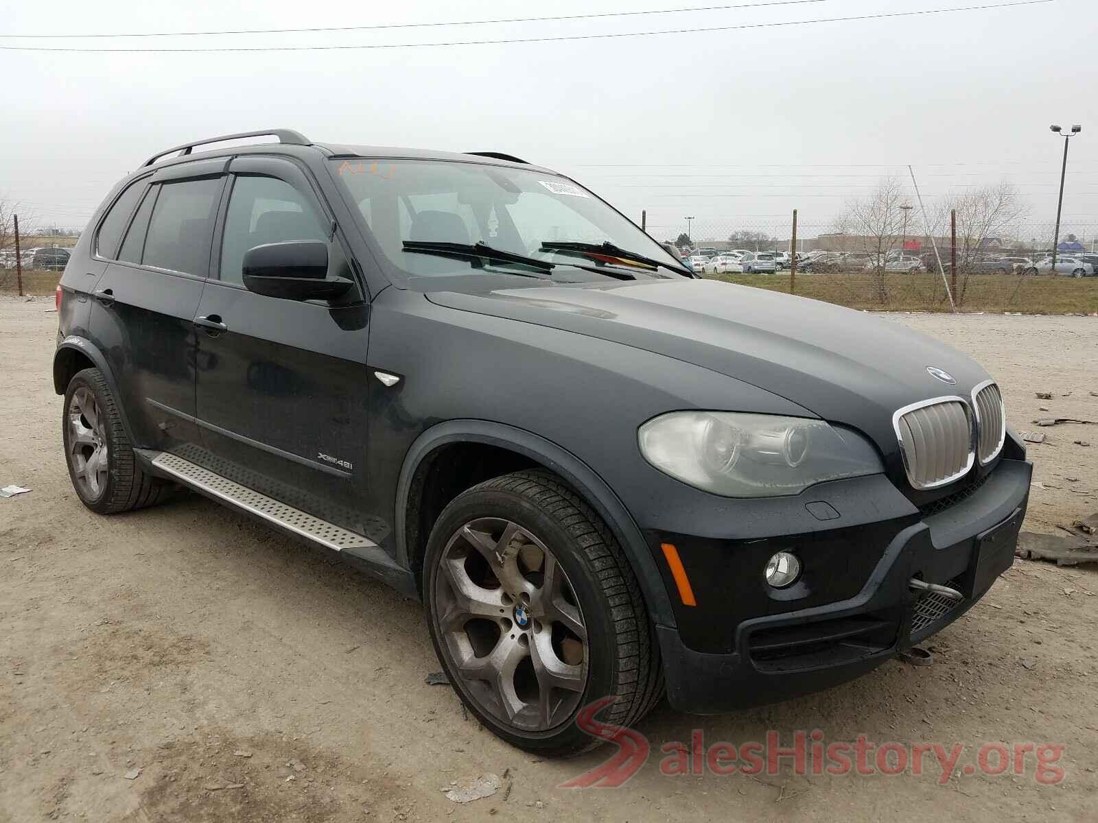 5XYPG4A32GG168981 2009 BMW X5