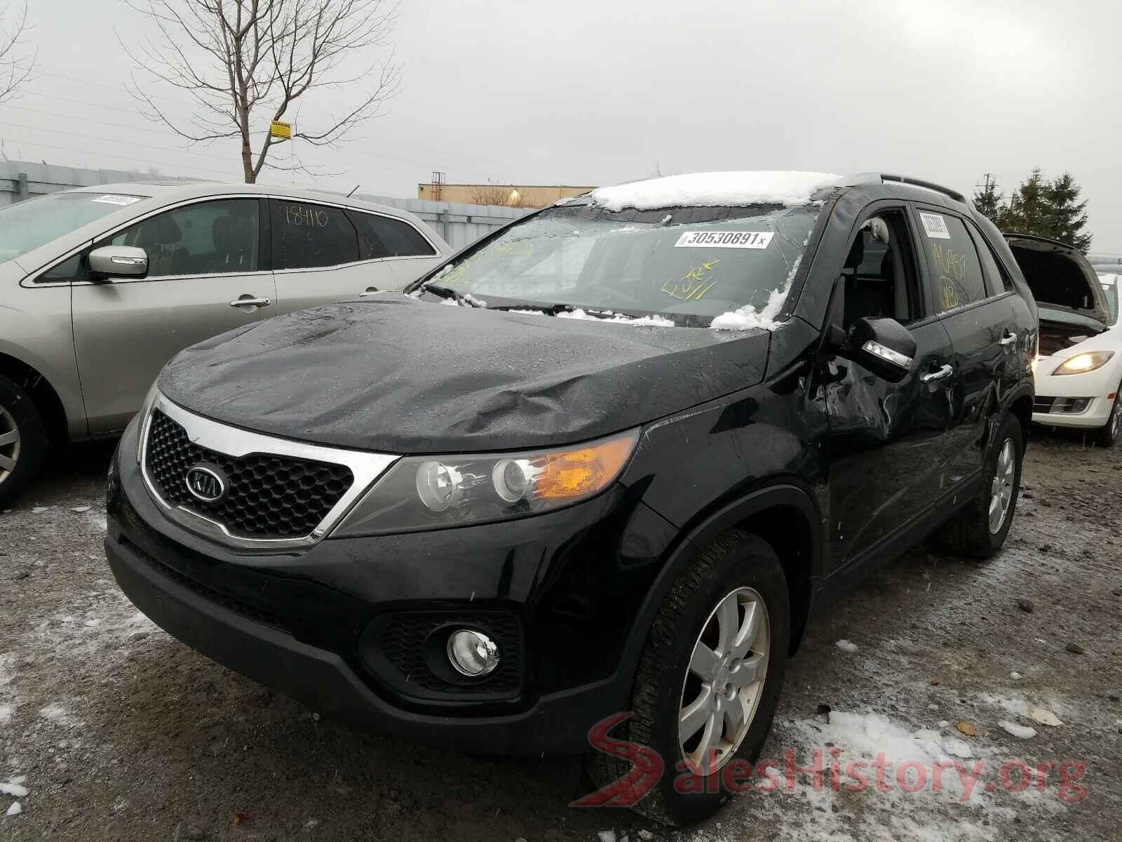 1N4AA6AP1HC433424 2011 KIA SORENTO