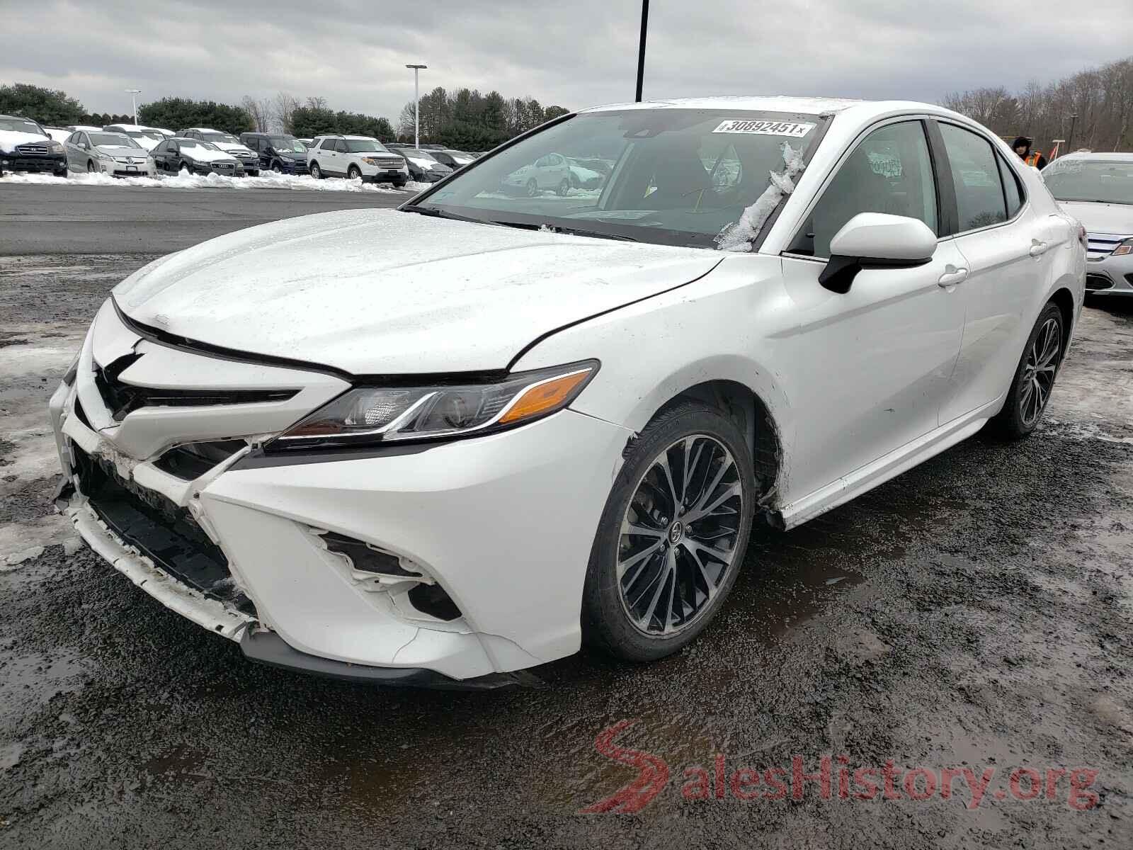 4T1B11HK5KU202972 2019 TOYOTA CAMRY