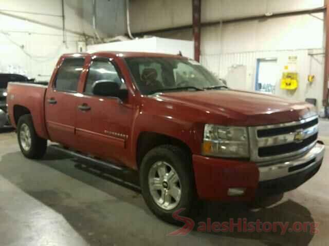 19XFC1F92GE021687 2009 CHEVROLET SILVERADO