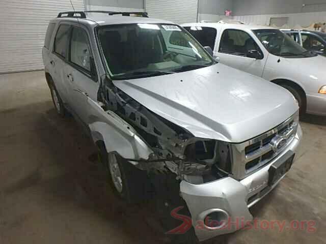 SALVP1BG8GH165820 2010 FORD ESCAPE