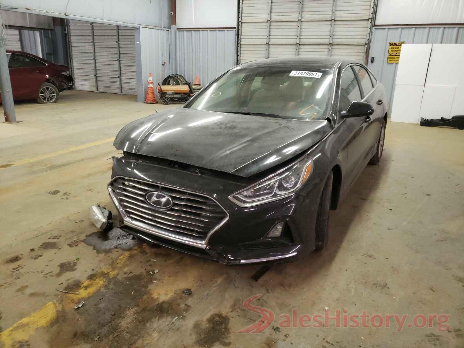 5NPE24AF1KH794149 2019 HYUNDAI SONATA