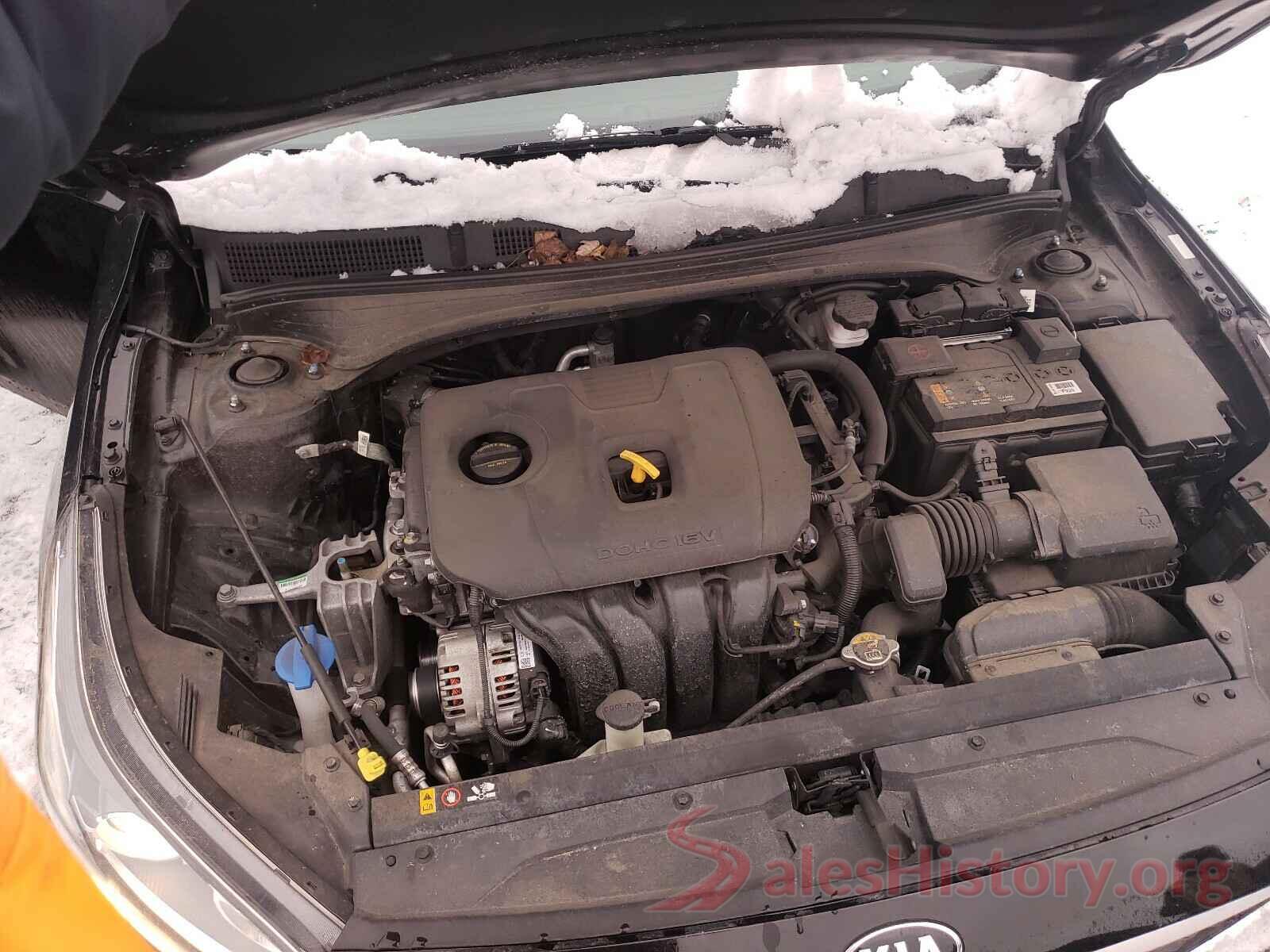 3KPF24AD1KE061350 2019 KIA FORTE