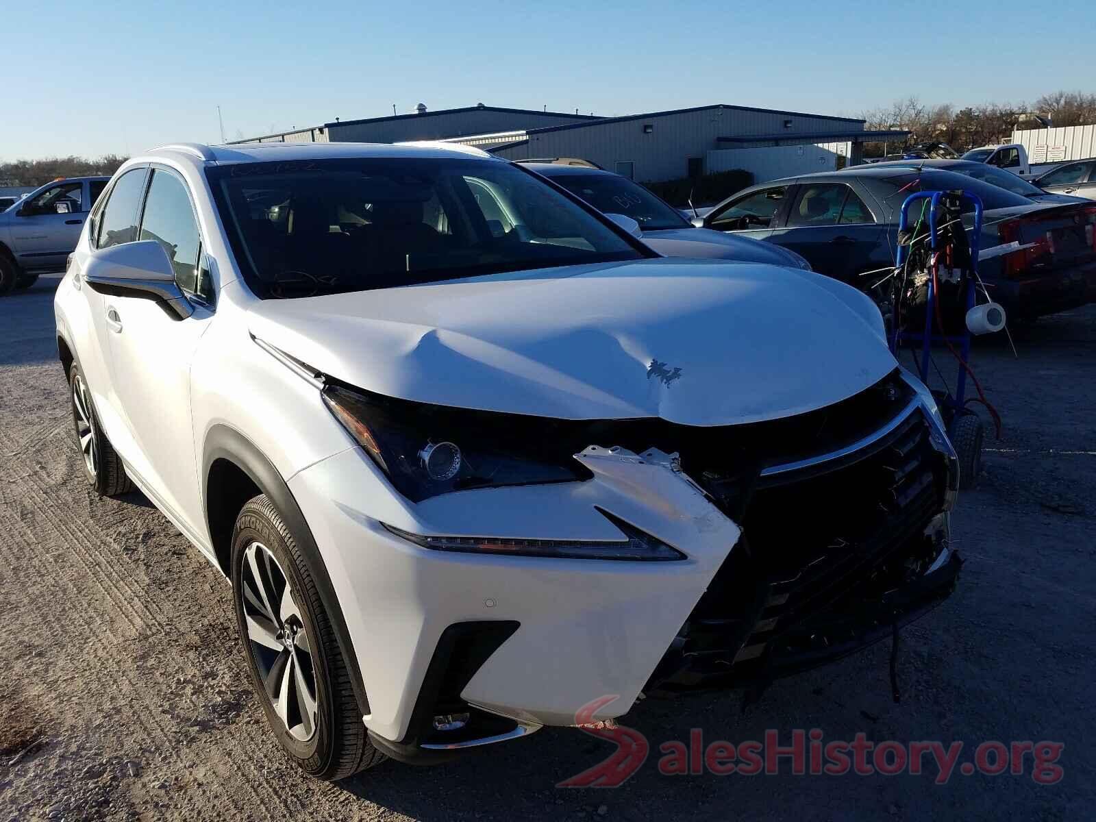 JTJBJRBZ0K2106152 2019 LEXUS NX