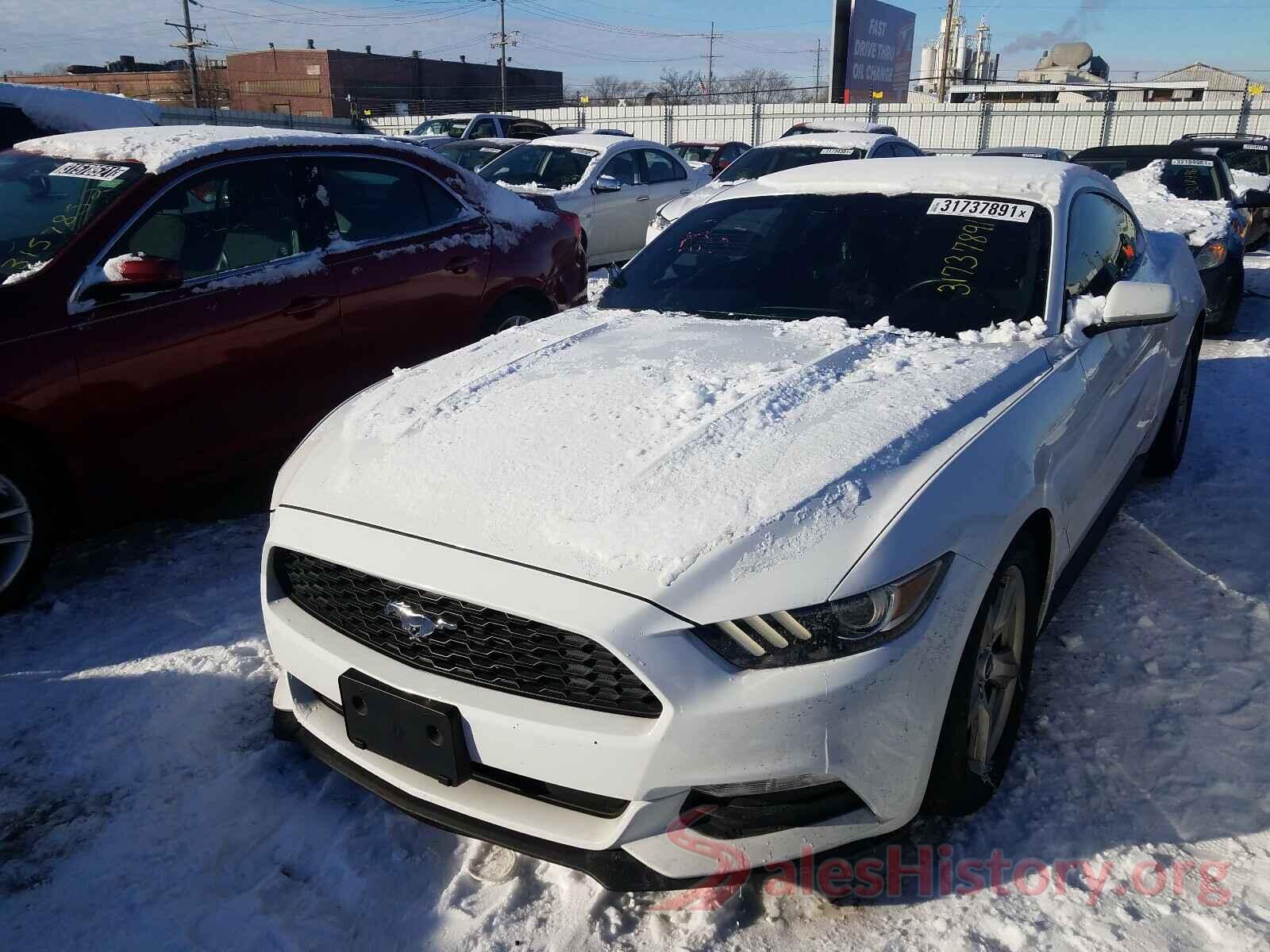 1FA6P8AM2H5344259 2017 FORD MUSTANG