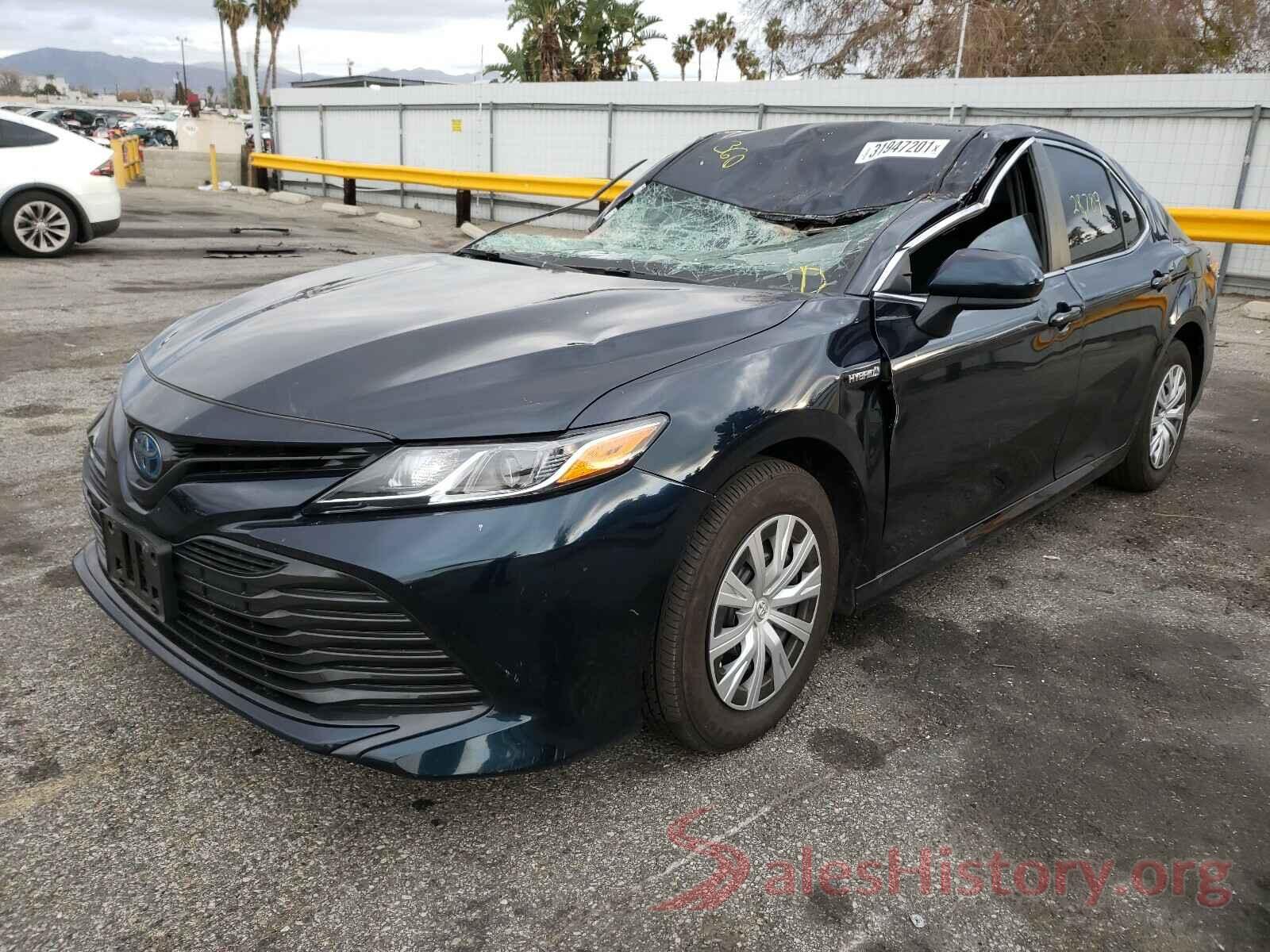 4T1B31HK3KU517232 2019 TOYOTA CAMRY