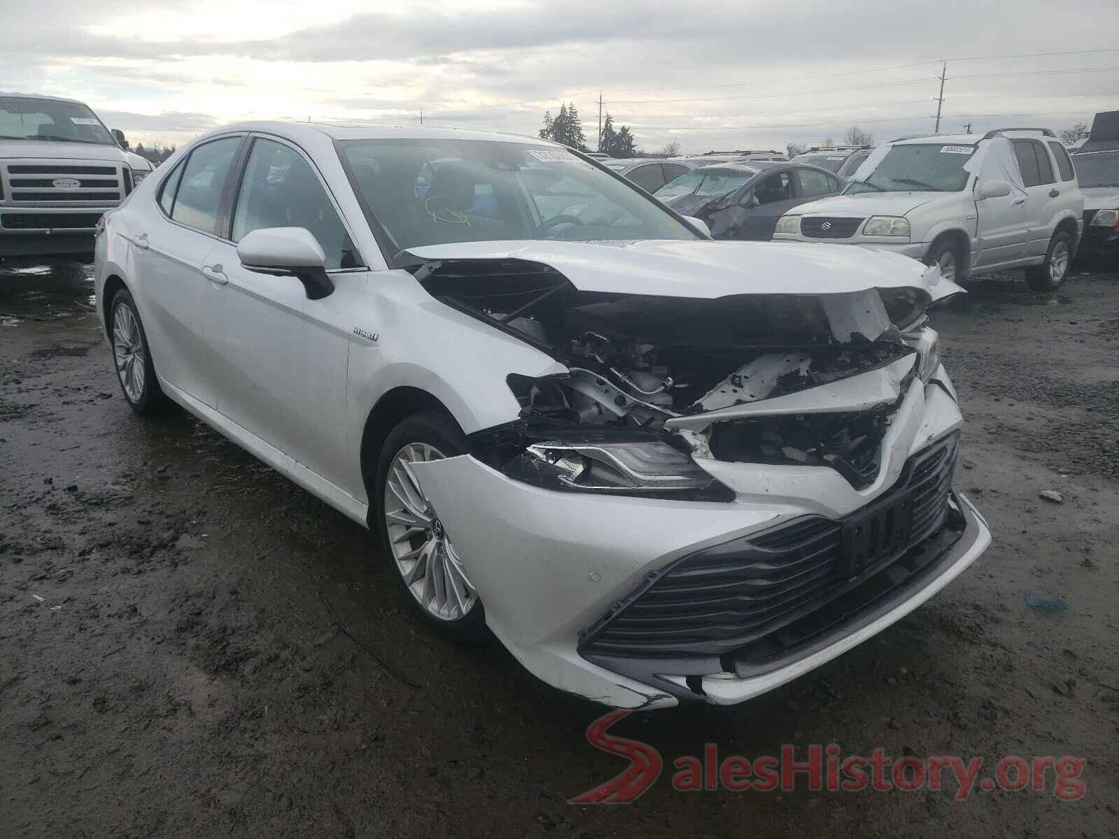 4T1B21HK7KU516295 2019 TOYOTA CAMRY