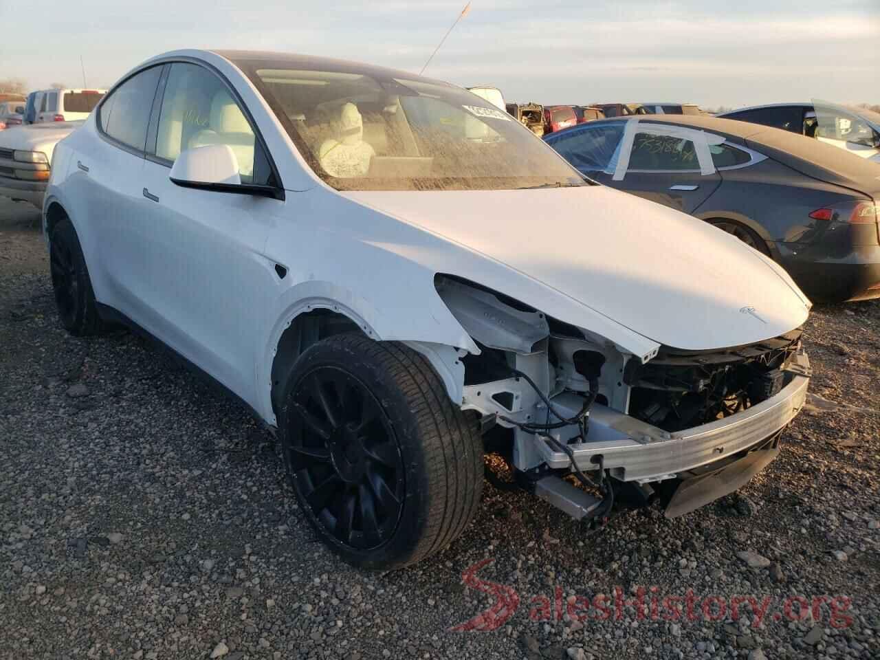 5YJYGDEE4MF112432 2021 TESLA MODEL Y