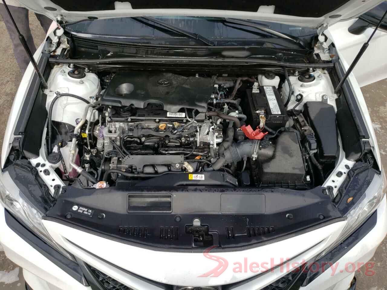 4T1B61HK3KU295962 2019 TOYOTA CAMRY