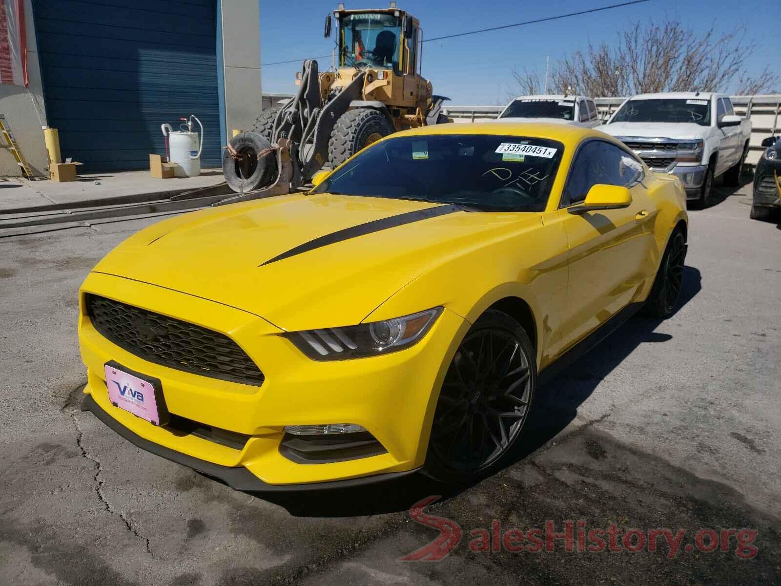 1FA6P8AM0H5331347 2017 FORD MUSTANG