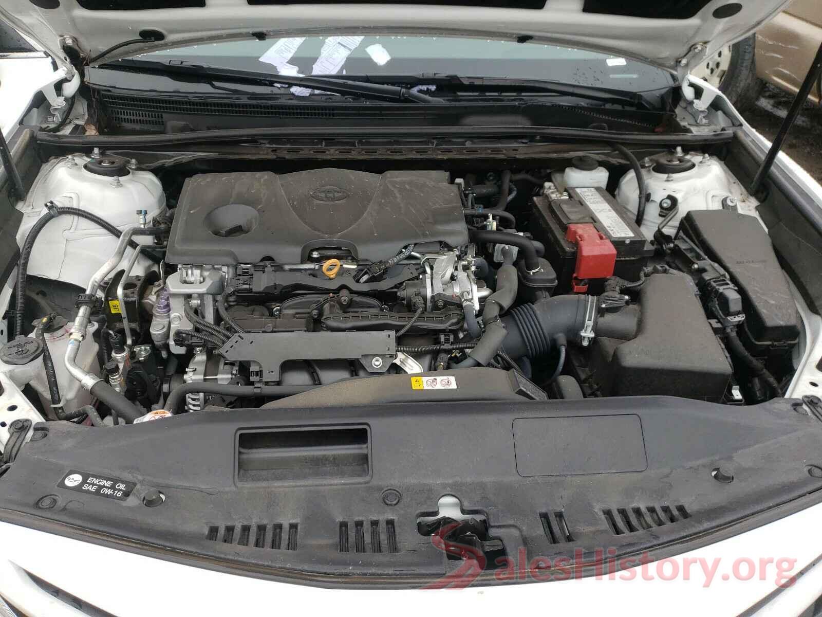 4T1B11HK0KU807871 2019 TOYOTA CAMRY