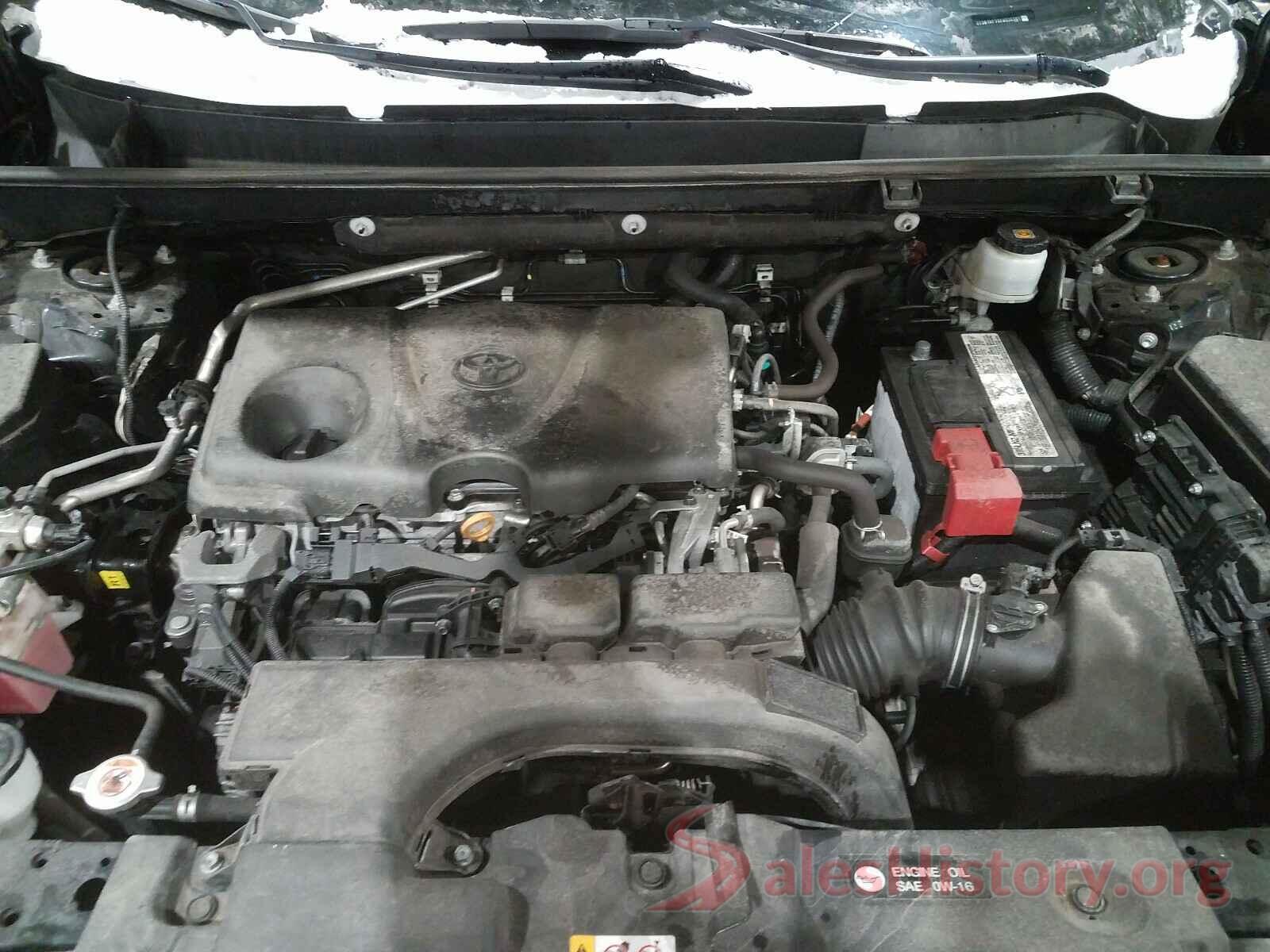 2T3B1RFV6KW036061 2019 TOYOTA RAV4