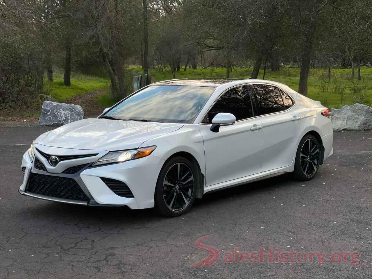 4T1B61HK7KU724519 2019 TOYOTA CAMRY