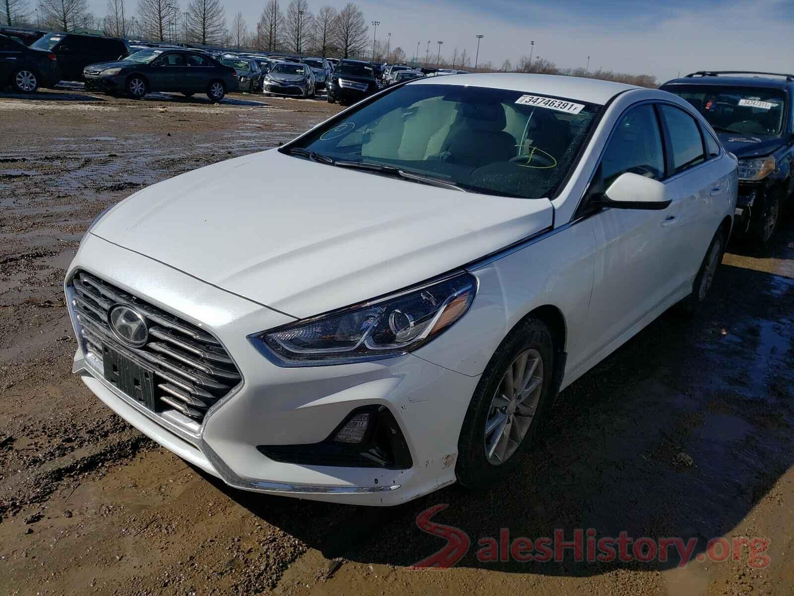 5NPE24AF8KH815269 2019 HYUNDAI SONATA