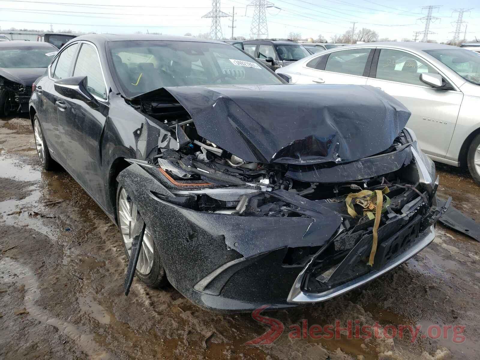 JTHB21B15K2031586 2019 LEXUS ES300