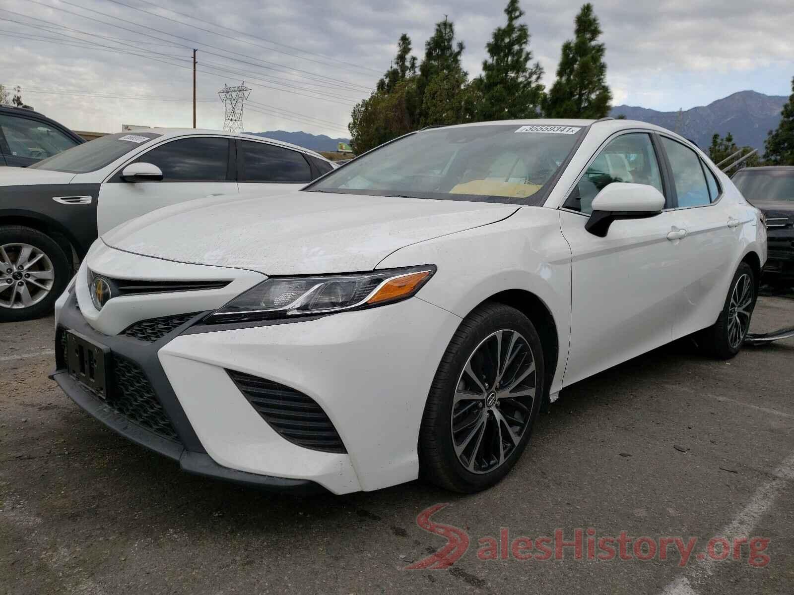 4T1B11HK8KU170602 2019 TOYOTA CAMRY