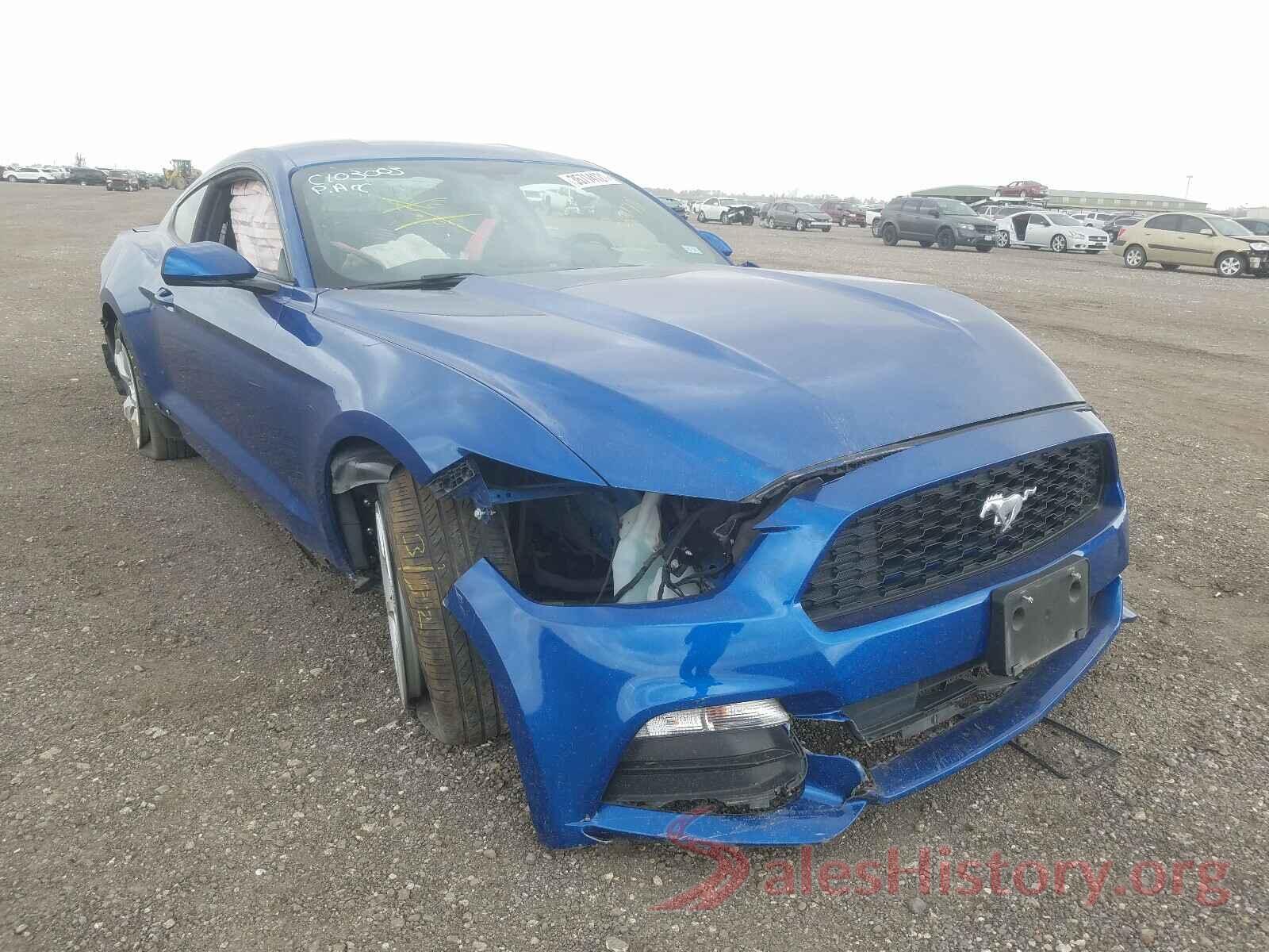 1FA6P8AM2H5344178 2017 FORD MUSTANG