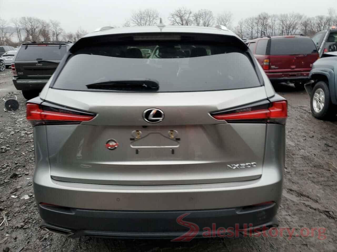 JTJBARBZ7K2212534 2019 LEXUS NX