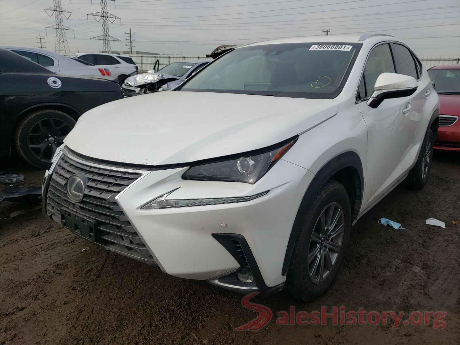 JTJBJRBZ6K2110464 2019 LEXUS NX