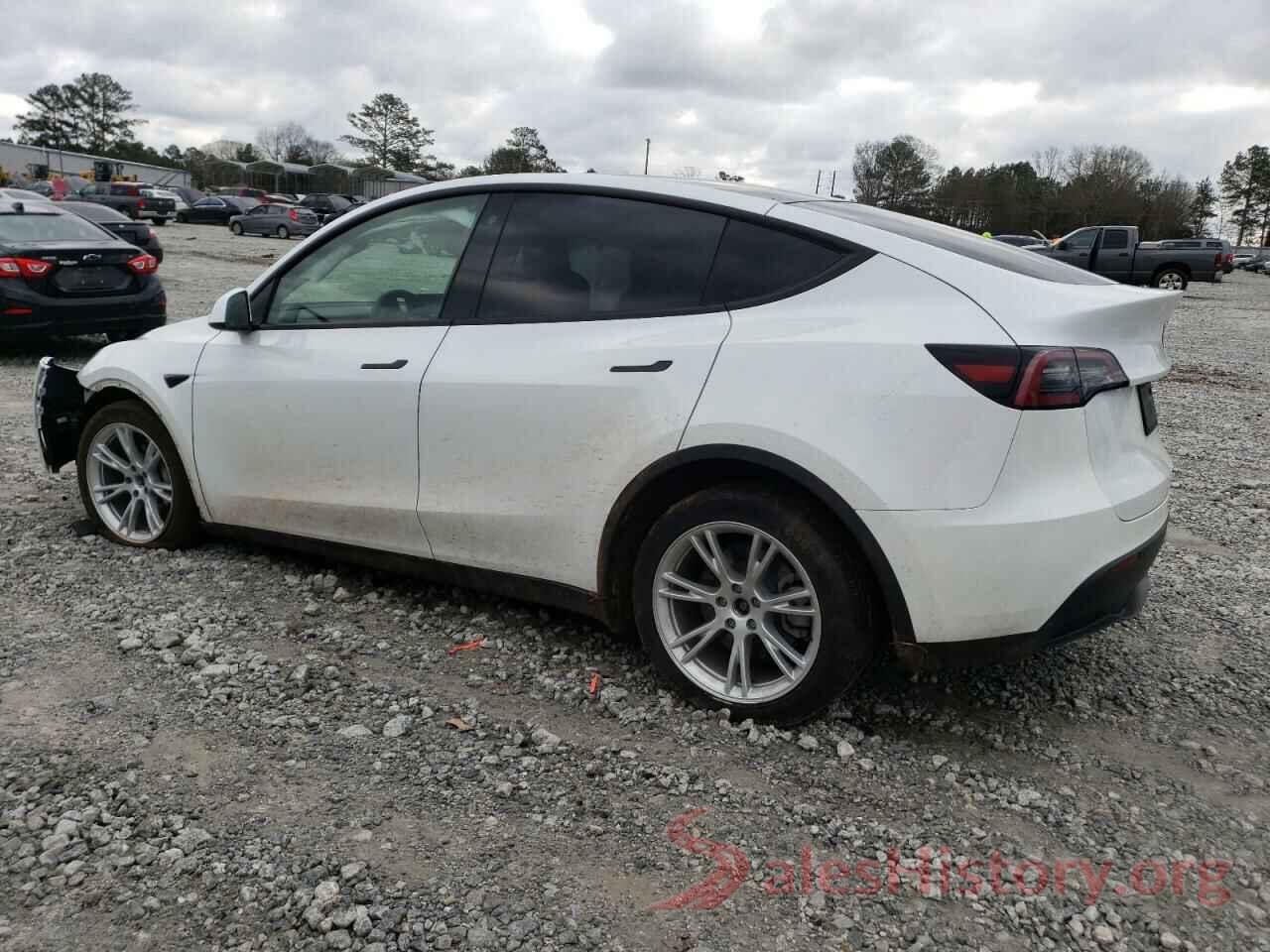 5YJYGDEEXMF131261 2021 TESLA MODEL Y