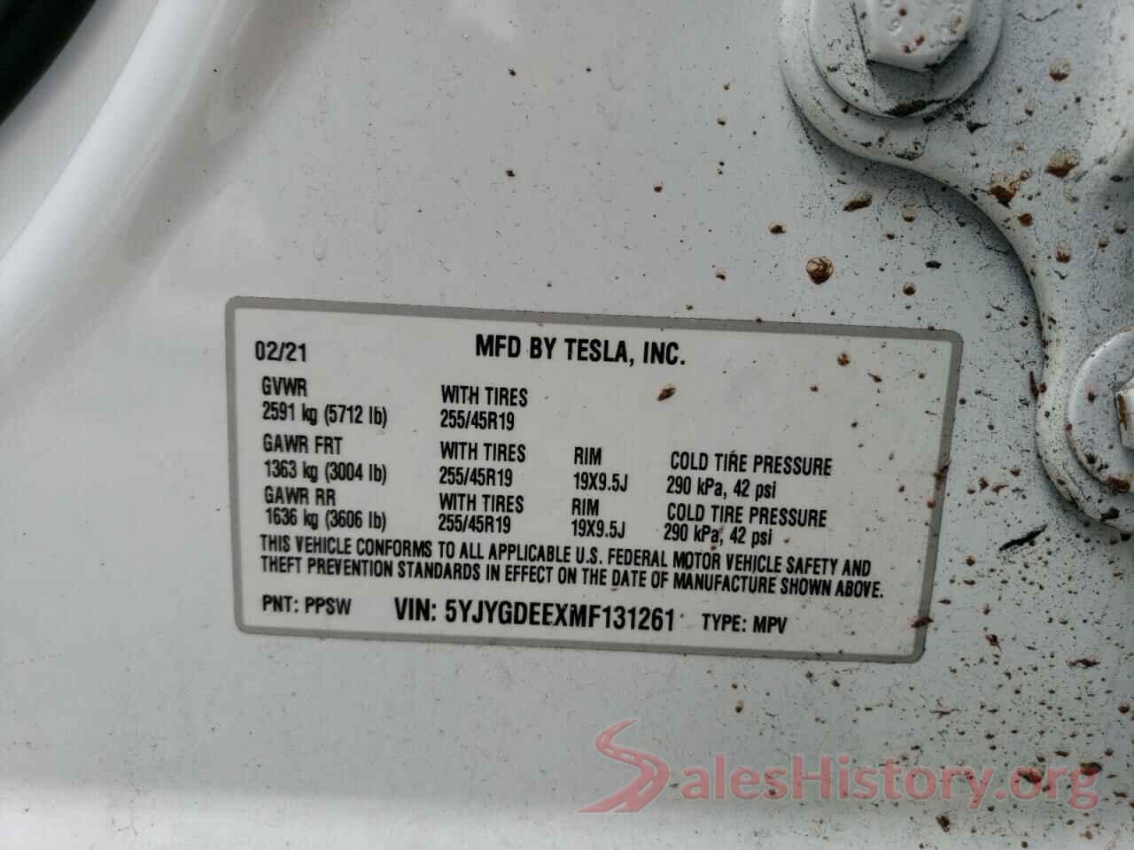 5YJYGDEEXMF131261 2021 TESLA MODEL Y