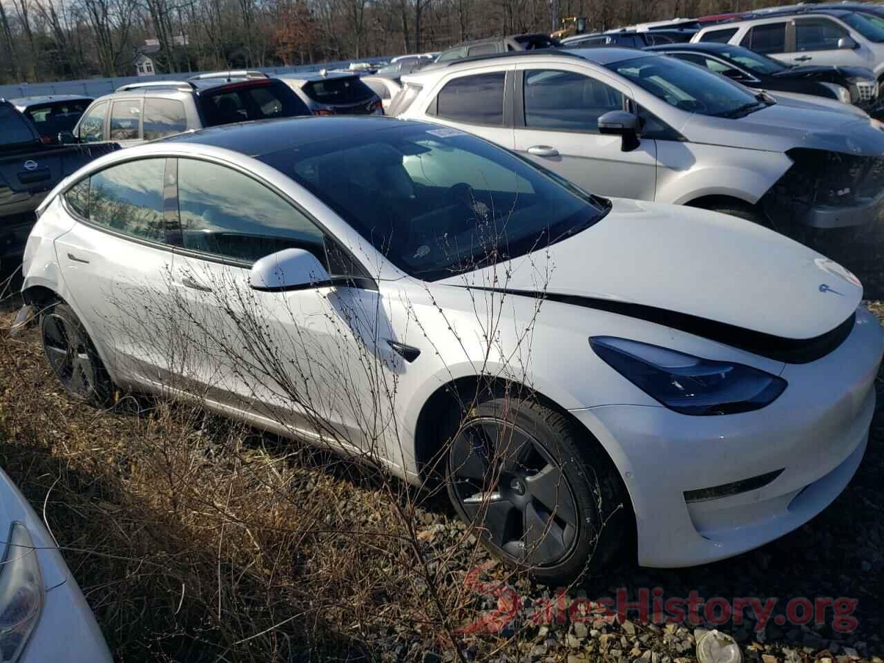 5YJ3E1EA5MF058084 2021 TESLA MODEL 3