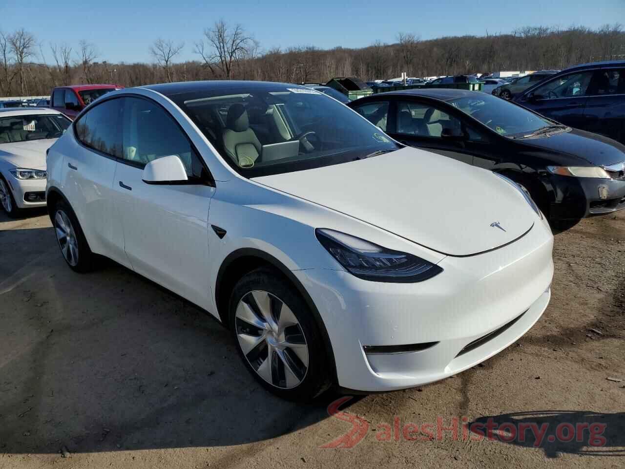 5YJYGDEEXMF146620 2021 TESLA MODEL Y