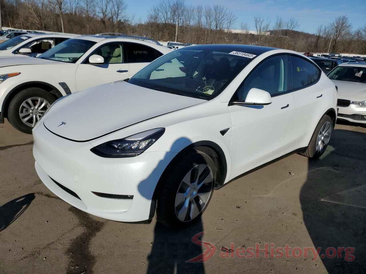 5YJYGDEEXMF146620 2021 TESLA MODEL Y