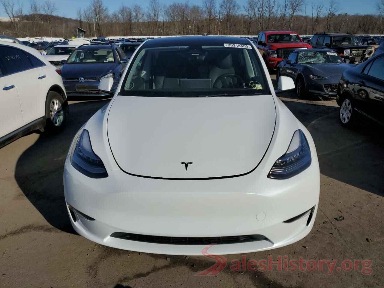 5YJYGDEEXMF146620 2021 TESLA MODEL Y