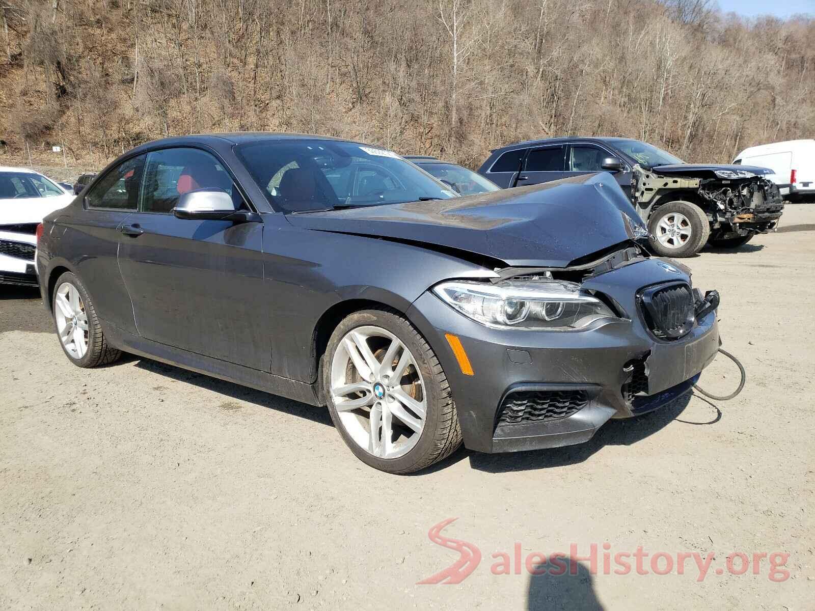 WBA1G9C5XGV599009 2016 BMW 2 SERIES