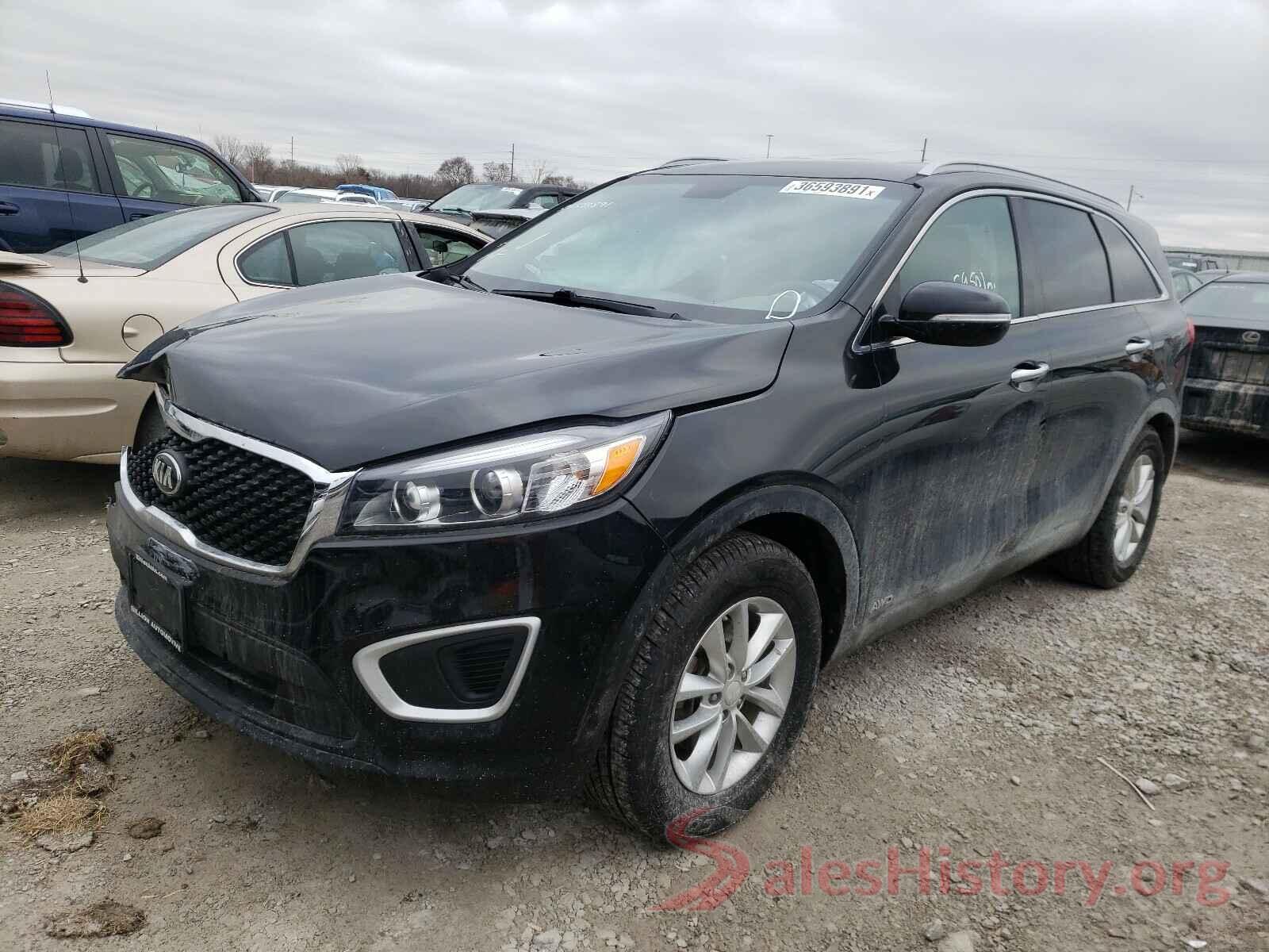 5XYPGDA31HG325904 2017 KIA SORENTO