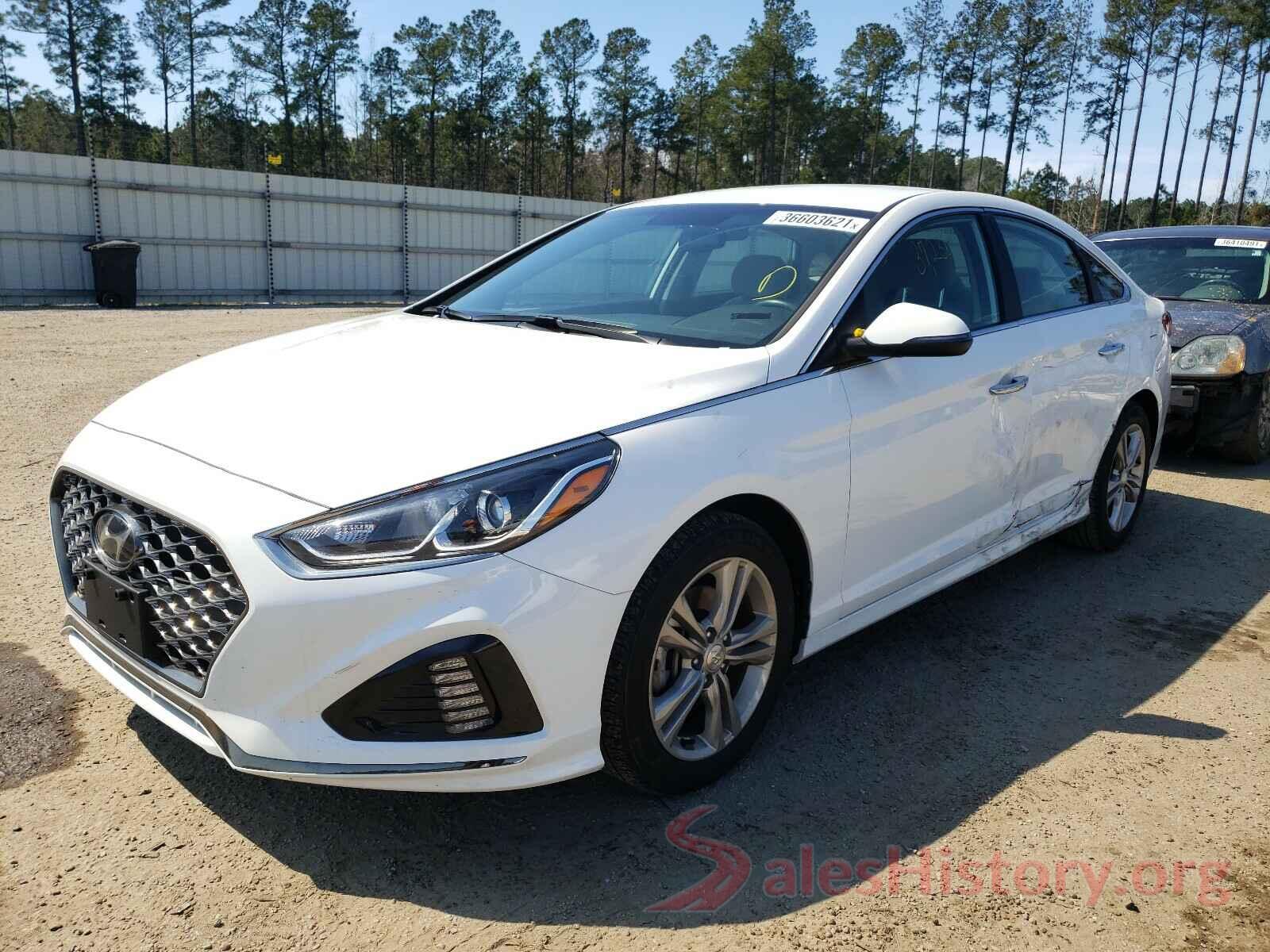 5NPE34AF3KH786826 2019 HYUNDAI SONATA