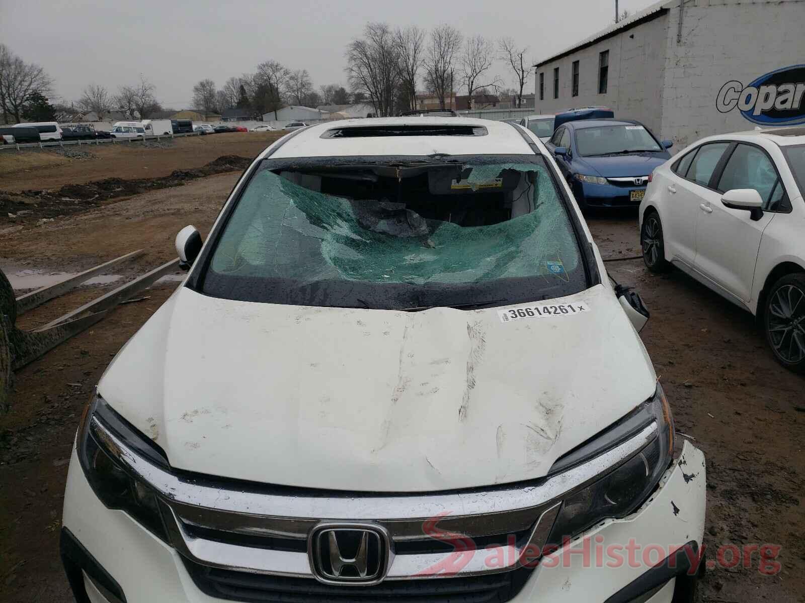 5FNYF6H50KB006972 2019 HONDA PILOT