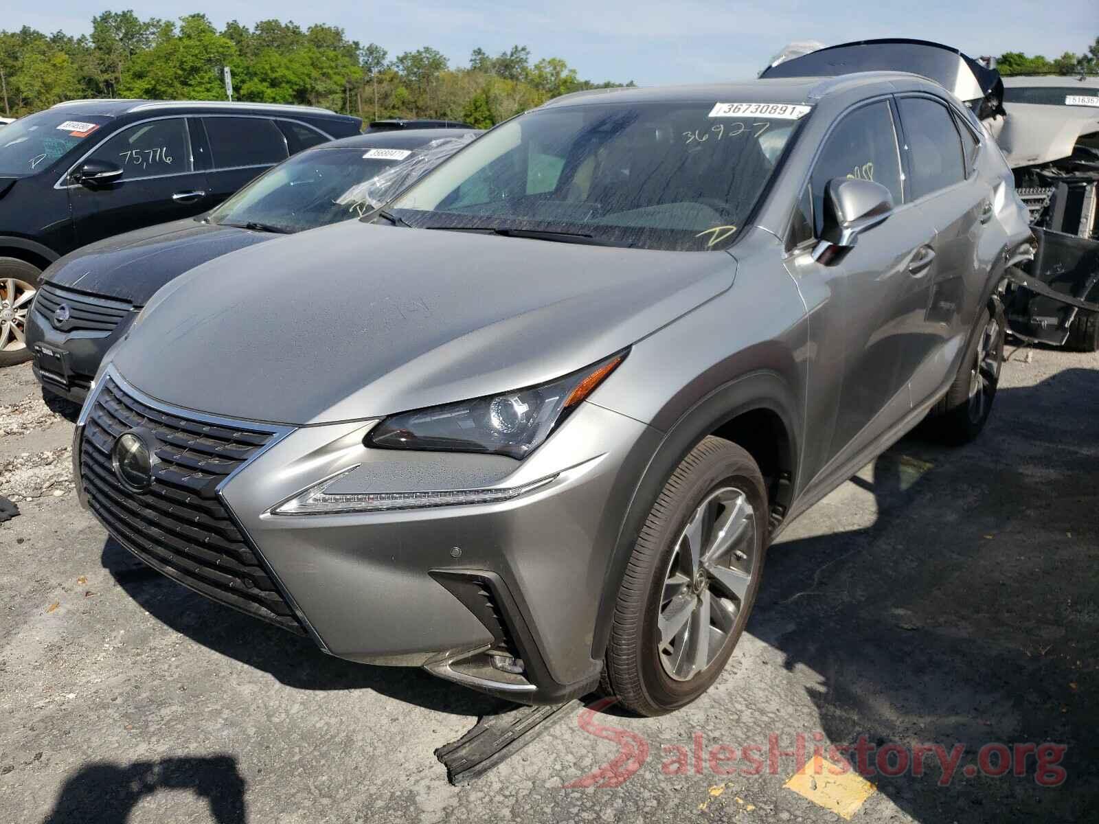 JTJGARDZ6M2236927 2021 LEXUS NX