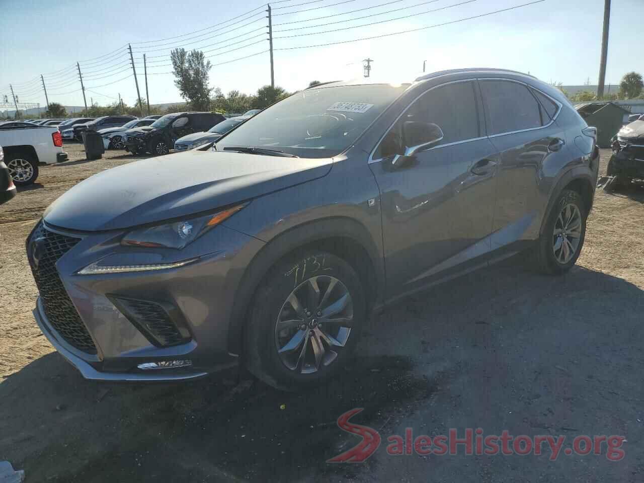 JTJSARBZ3M2180443 2021 LEXUS NX