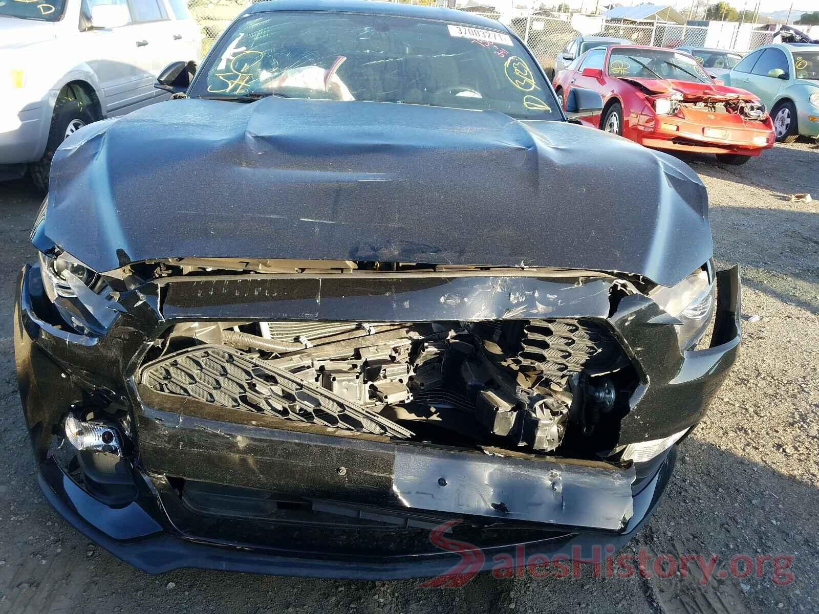 1FA6P8AM7H5346427 2017 FORD MUSTANG