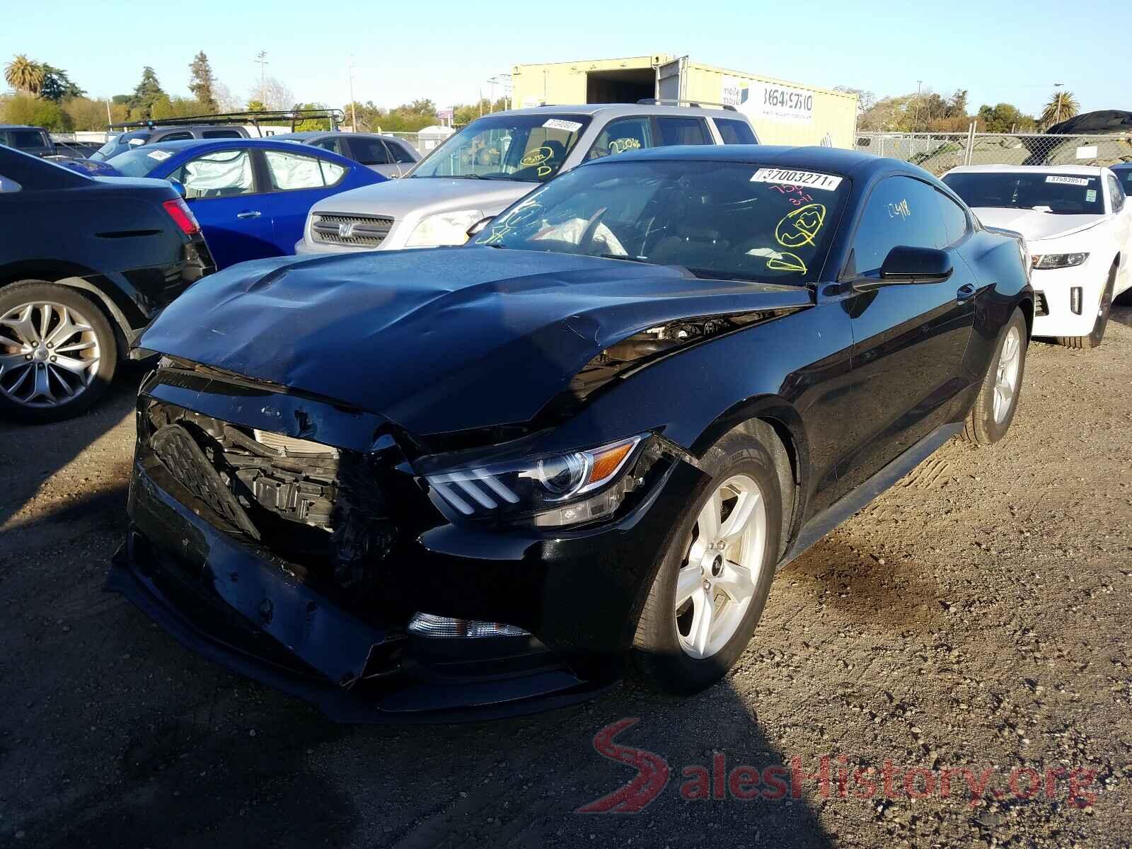 1FA6P8AM7H5346427 2017 FORD MUSTANG