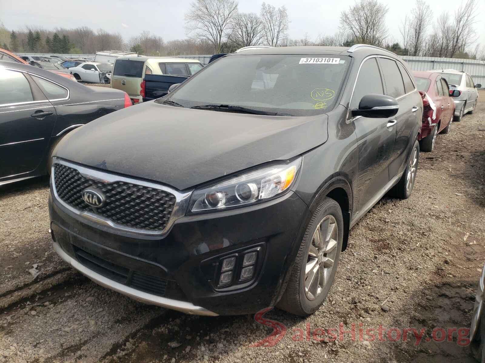 5XYPKDA51GG142534 2016 KIA SORENTO