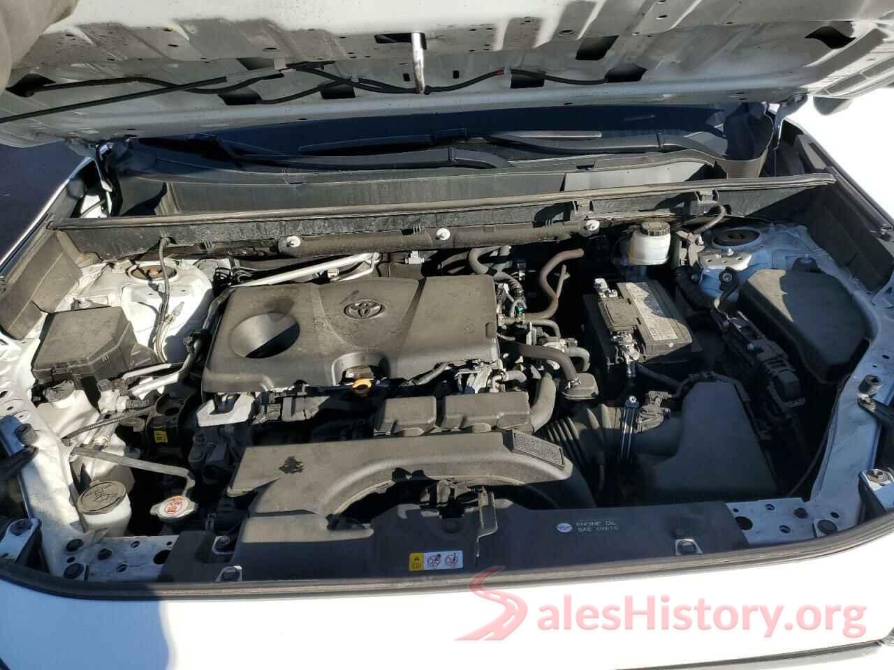 2T3A1RFV3KW056246 2019 TOYOTA RAV4