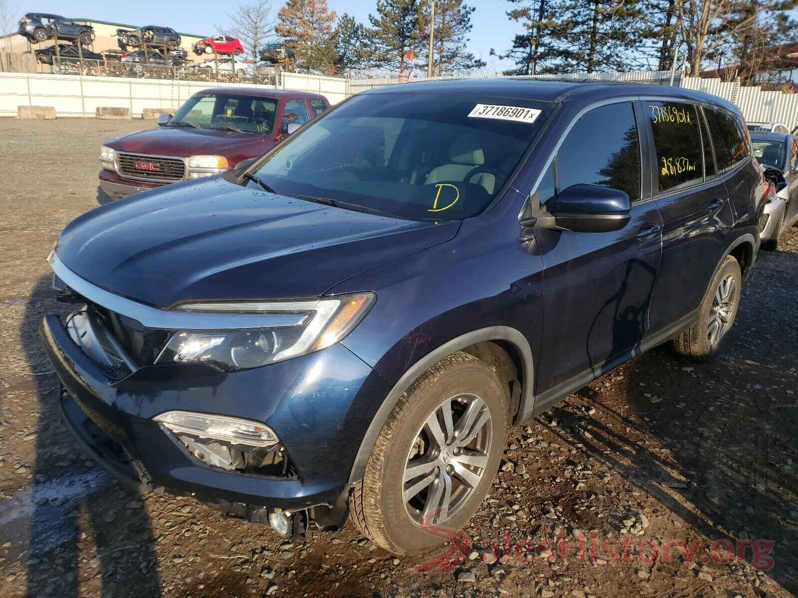 5FNYF5H38GB021560 2016 HONDA PILOT