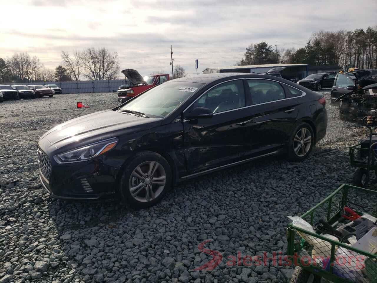 5NPE34AF8KH763168 2019 HYUNDAI SONATA